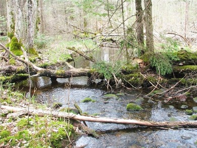 Welcome to this spacious and peaceful .95-acre lot in Birchwood! - photo 1