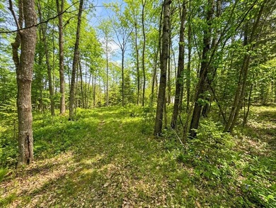 Welcome to this spacious and peaceful .95-acre lot in Birchwood! - photo 2