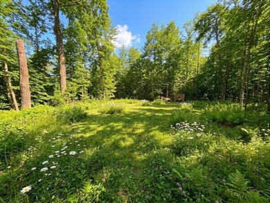 Welcome to this spacious and peaceful .95-acre lot in Birchwood! - photo 3