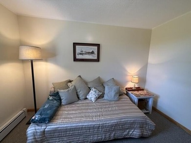 One-floor living at its best! Bright, comfortable, and move-in - photo 44