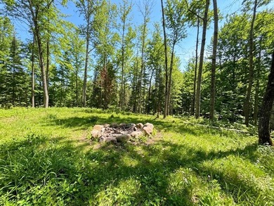 Welcome to this spacious and peaceful .95-acre lot in Birchwood! - photo 4