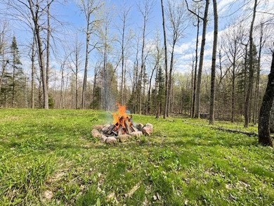 Welcome to this spacious and peaceful .95-acre lot in Birchwood! - photo 5