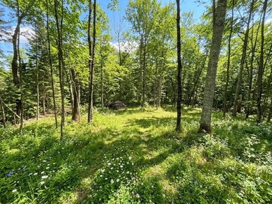 Welcome to this spacious and peaceful .95-acre lot in Birchwood! - photo 7