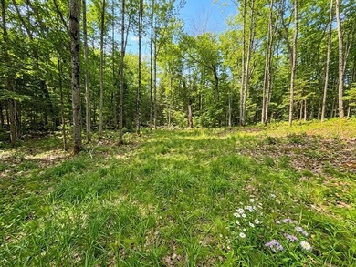 Welcome to this spacious and peaceful .95-acre lot in Birchwood! - photo 8
