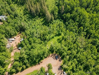 Welcome to this spacious and peaceful .95-acre lot in Birchwood! - photo 9