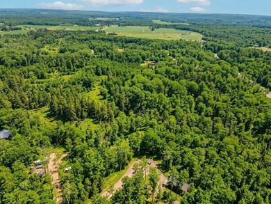 Welcome to this spacious and peaceful .95-acre lot in Birchwood! - photo 10