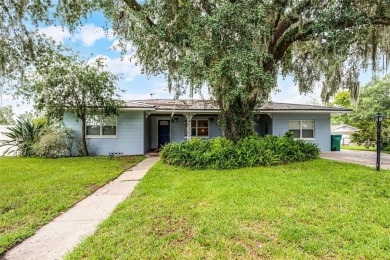 Lake Home For Sale in Eustis, Florida