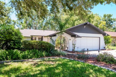 Lake Home For Sale in Land O Lakes, Florida