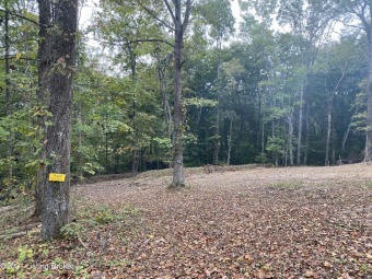 UNRESTRICTED WOODED LOTS that run to the red line! Three lots - Lake Lot Sale Pending in Clarkson, Kentucky