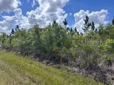 Lake Weohyakapka Lot For Sale in Indian Lake Estates Florida