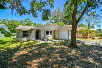 Lake Home For Sale in Tampa, Florida