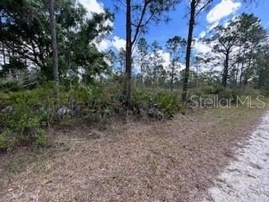 Lake Weohyakapka Lot For Sale in Indian Lake Estates Florida