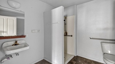 Property in need of significant TLC and being sold as-is; no - photo 10