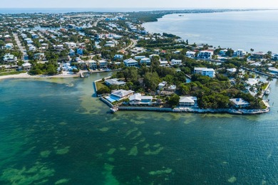 Welcome to an elevated expression of island living at 23 - photo 15