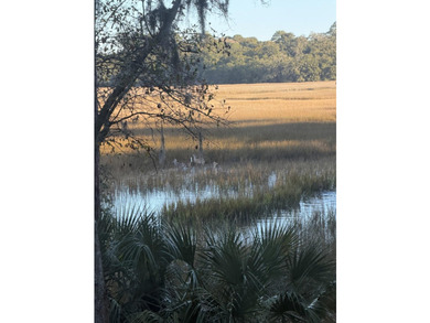 Welcome to your immaculate island oasis in the coveted Marsh - photo 17