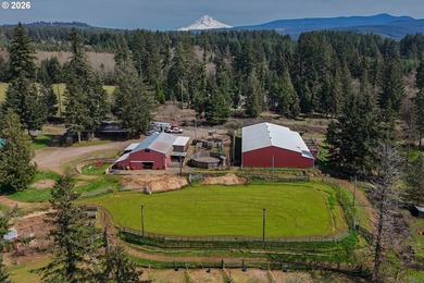 This truly unique property offers a rare combination of acreage - photo 27