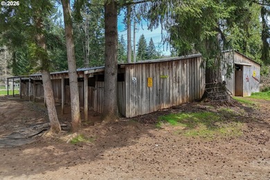This truly unique property offers a rare combination of acreage - photo 33