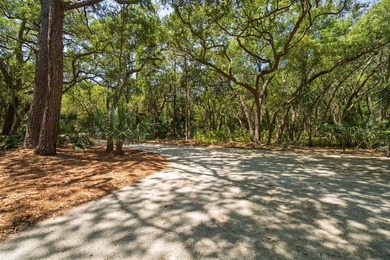 Welcome to your immaculate island oasis in the coveted Marsh - photo 37