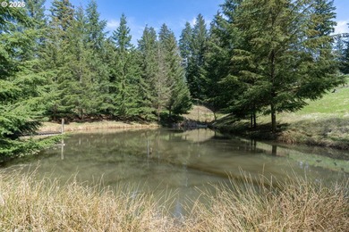 This truly unique property offers a rare combination of acreage - photo 37