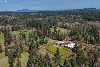This truly unique property offers a rare combination of acreage - photo 39