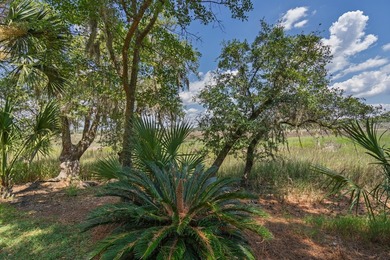 Welcome to your immaculate island oasis in the coveted Marsh - photo 44