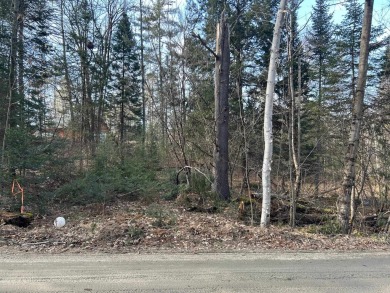 Upper Mountain Lake Lot For Sale in Haverhill New Hampshire