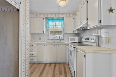 Located right in the heart of Steinhatchee, this property offers - photo 7