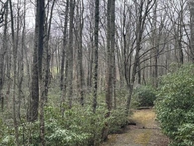 (private lake, pond, creek) Lot For Sale in Fancy Gap Virginia