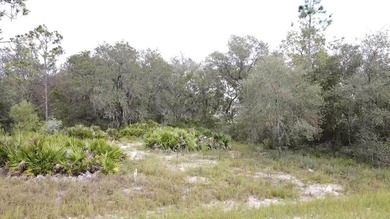 Lake Marion - Polk County Lot For Sale in Poinciana Florida