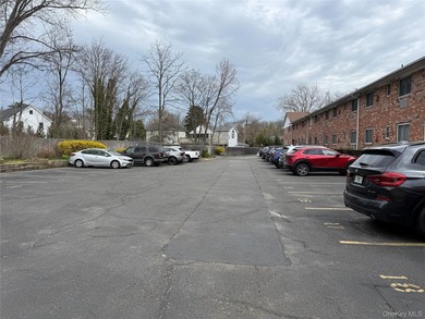 This is a rare opportunity to own the fully updated duplex at - photo 22
