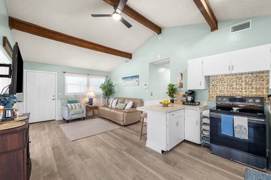 This rare opportunity in the heart of Steinhatchee features two - photo 3