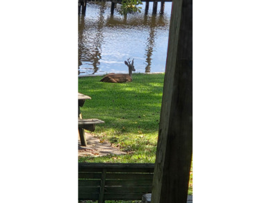 WATERFRONT RETREAT AT HOUSTON COUNTY LAKE! - photo 8