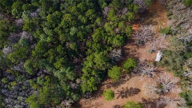 13.9-acre build-ready property with a combination of natural - photo 3