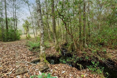 13.9-acre build-ready property with a combination of natural - photo 4