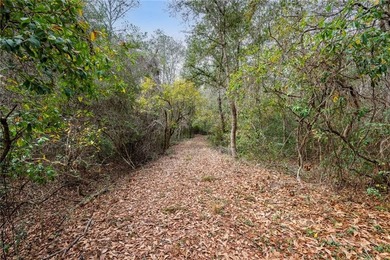 13.9-acre build-ready property with a combination of natural - photo 7