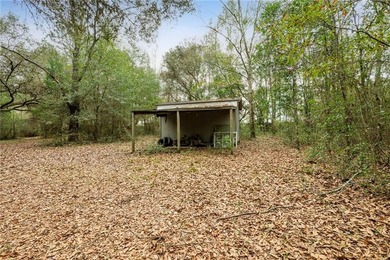 13.9-acre build-ready property with a combination of natural - photo 10