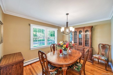 Welcome to 21 Hobson Avenue!!! This Meticulously maintained home - photo 9