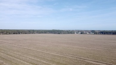 National Land is proud to present a truly rare opportunity to - photo 11