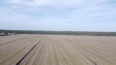 National Land is proud to present a truly rare opportunity to - photo 13