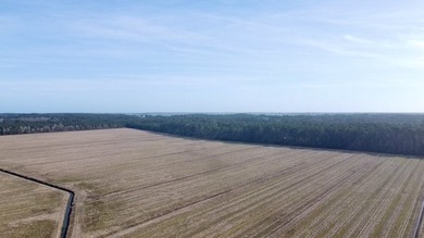 National Land is proud to present a truly rare opportunity to - photo 15