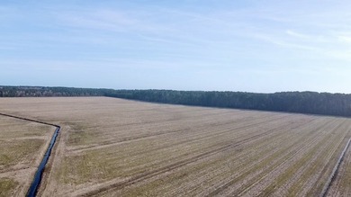 National Land is proud to present a truly rare opportunity to - photo 16