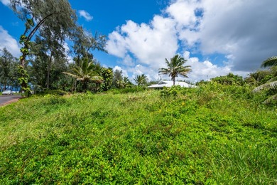 Rare opportunity to own an *almost oceanfront* parcel in one of - photo 17