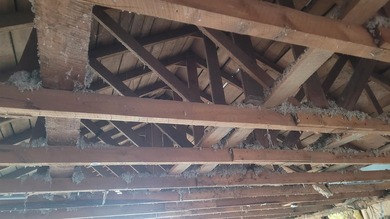 Ready to open a store? Maybe you would like a home near Black - photo 18