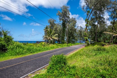 Rare opportunity to own an *almost oceanfront* parcel in one of - photo 20