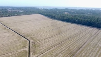 National Land is proud to present a truly rare opportunity to - photo 21