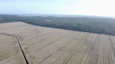 National Land is proud to present a truly rare opportunity to - photo 25