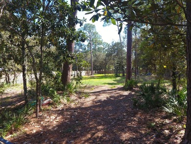 Escape the Ordinary: Your Emerald Coast Dream Starts Here - photo 2