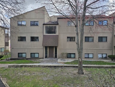 Additional listing photo 2