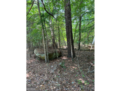 Lake Acreage For Sale in Eatonton, Georgia