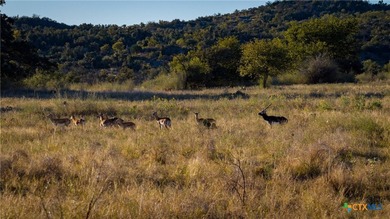 The Wright Ranch offers +-316 high-fenced acres of rare Hill - photo 3